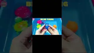 sea animals for kids zoo wild animals  farm animals for kids shorts 11