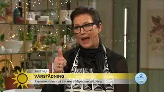 St&auml;d-Marlene: S&aring; f&aring;r du rent i duschen &ndash; &auml;ttikan g&ouml;r jobbet - Nyhetsmorgon (TV4)