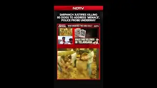 Sarpanch Justifies Killing 80 Dogs to Address &lsquo;Menace&rsquo;, Police Probe Underway