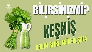 🎥 M&ouml;vzu: &ldquo;KEŞNİŞ &ndash; Qədim Bitki, M&uuml;asir Şəfa&rdquo;