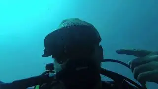 Canto delle megattere in immersione