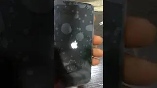 iPhone X(64) sold out still available