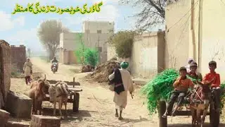Sindh village life vlog || Sindh village life in Pakistan