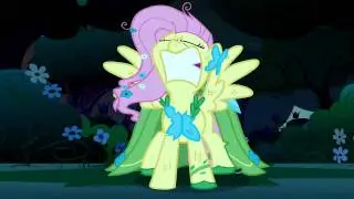 Fluttershy - (stomp)