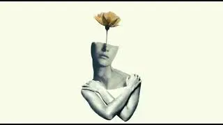 夢の花 - vivi  オリジナル曲