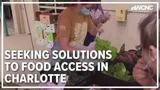Charlotte nonprofit seeking solutions to food access in the Queen City