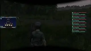 NO HUD DayZ Official W/ Tea + Alpha