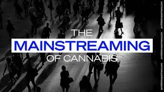 Available Now | The European Cannabis Report: 7th Edition