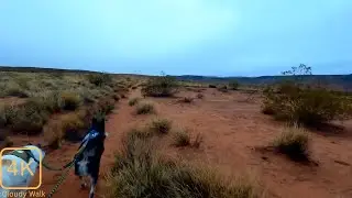 Calm Desert Walk with Dogs | Clouds & Distant Rain