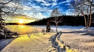 Ran Raiten - Pain Management / Cinematic and Peaceful Piano Music 