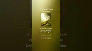 Respiro Nel Prato