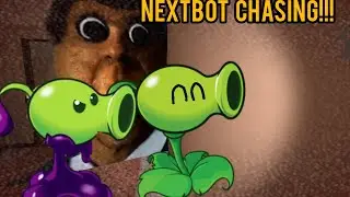 Jugando nexbot chasign 