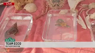 Zip Trip: Brenda Ramer and Kinsley, Team Ecco Aquarium