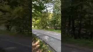 Borkovic Fabia R5 Serbia Rally 55
