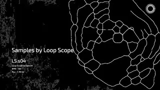 Samples by Loop Scope - LS.s04