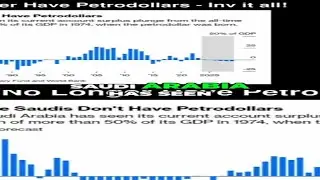 #15 Saudi Arabia's Economic Transformation  From Petrodollars to Future Economies