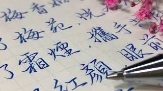 【五瓶Wuping】 中性筆書寫示範～ 梅香如故 [如懿傳片尾曲]-歌詞書寫