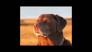 Let Me Know Meme - Best Part Looped
