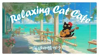 Welcome to the Relaxing Seaside Cat Cafe | BGM for Work, Study, Relaxation