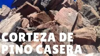 ¿Cómo hacer corteza de pino casera para orquídeas? || Orquiplanet