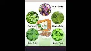 Toptime|pancha Tulasi tablets|100%natural|Health&wellness|#ayurveda#fitness#top#wellness#cough#trend