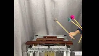 Encore Mallet Nancy Zeltsman NZGRADR Graduated Mallet Set (R) (ラタン柄) (各1本4本組)
