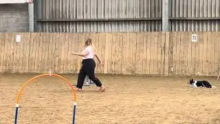 Canine Hoopers Team GB Tryouts