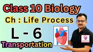 Class 10 Science|Revision 2026 Board Exam|Ch: 5 Life Processes | CBSE UP Board |Transportation | L-6