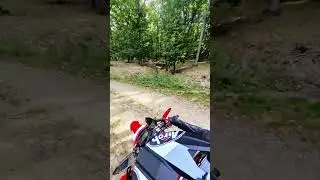 #saptecoline #motorcycle #honda #crf300l #music #enduro #dirt #forest #ride #group #fun #adventure