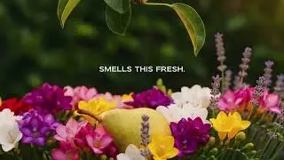 MIGHTY SHIELD ENGLISH PEAR & FREESIA HAND SOAP - PEAR FALLING