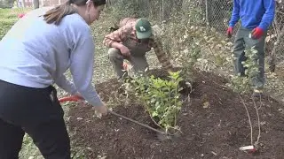 Hillsdale historic cemetery gets green facelift