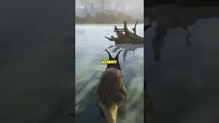 НИКОГДА не заходите в воду на острове