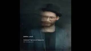 Sven Laux - Fragment 8