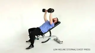 Low Incline DB Chest Press | PhysiqueDevelopment.com