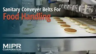 Sanitary Conveyor Belts for Food Handling