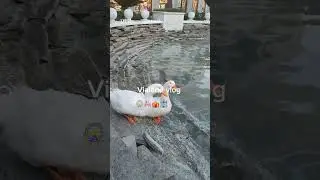 tema park Vialand vlog