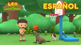 El Lobo Marino de California (Español) - Leo, El Explorador Episodio | Animación - Familia - Niños