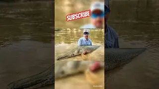 #Alligator Gar Fishing with #Insta360 #captmiltonnieto #shorts #fyp #fypシ #fish #nature #viral #fy