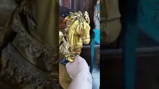Golden horse decoration gold deco