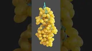 🍇Houdini Grapes Animation - orange