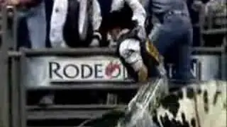 Xtreme Bulls - Houston (2008)