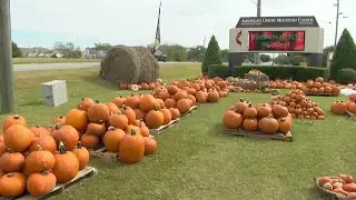 Aldersgate United Methodist Church opens pumpkin patch