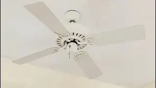 48