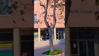 Jamia Millia Islamia Dr. Zakir Hussain Library😍 || JMI Main Campus
