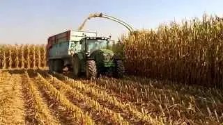 Claas Jaguar 900 - Trinciato | Mais Silage 2015 - Agrilavori | Crosetto | Valbona