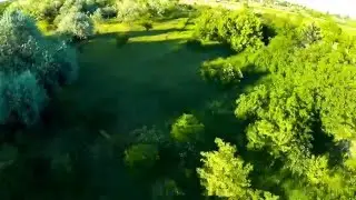 Frsky D4R-II failsafe behind the brushwood