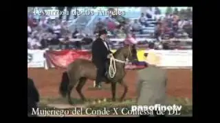 Contessa De DL 2010