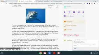 Fluency tutor for Students