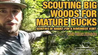 Scouting BIG Woods for MATURE Buck Bedding - Sign and signals to hone in on