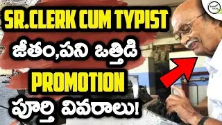 senior clerk in railway job profile | senior clerk typist job profile promotion salary Exam Tricks